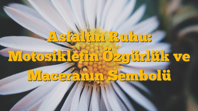 Asfaltın Ruhu: Motosikletin Özgürlük ve Maceranın Sembolü