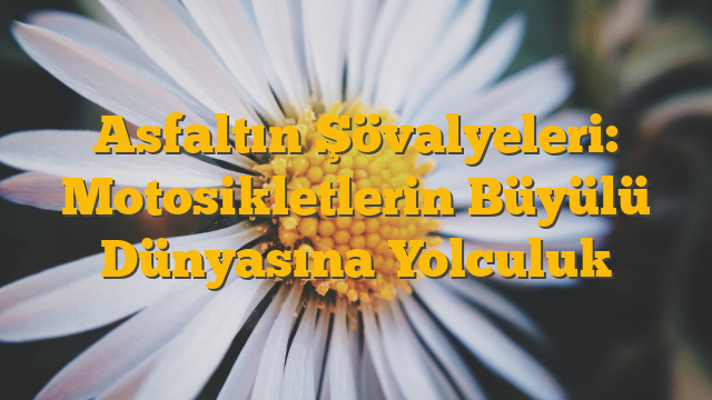 Asfaltın Şövalyeleri: Motosikletlerin Büyülü Dünyasına Yolculuk