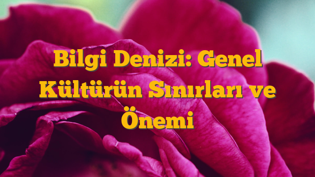 Bilgi Denizi: Genel Kültürün Sınırları ve Önemi