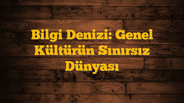 Bilgi Denizi: Genel Kültürün Sınırsız Dünyası