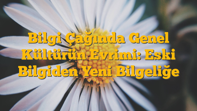 Bilgi Çağında Genel Kültürün Evrimi: Eski Bilgiden Yeni Bilgeliğe