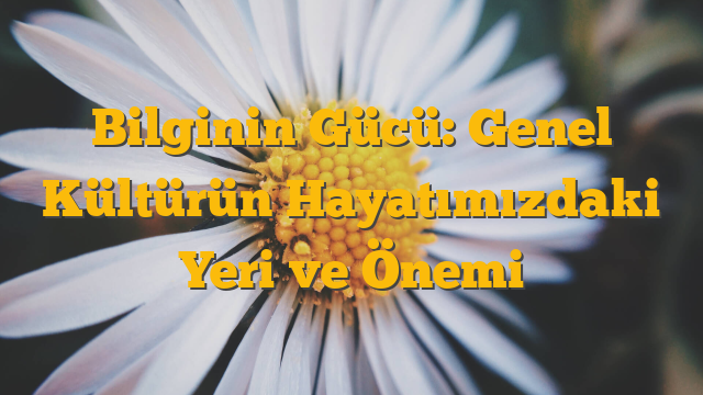 Bilginin Gücü: Genel Kültürün Hayatımızdaki Yeri ve Önemi