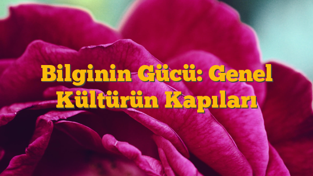 Bilginin Gücü: Genel Kültürün Kapıları