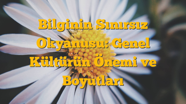 Bilginin Sınırsız Okyanusu: Genel Kültürün Önemi ve Boyutları
