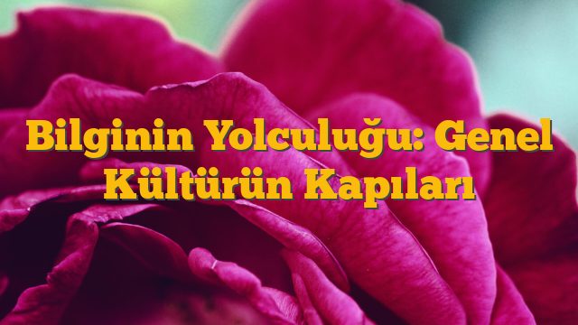 Bilginin Yolculuğu: Genel Kültürün Kapıları