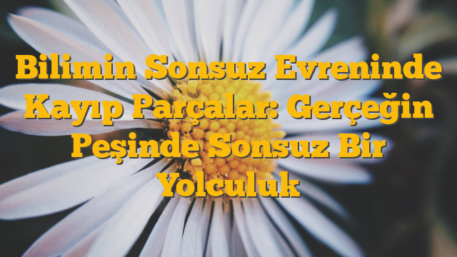 Bilimin Sonsuz Evreninde Kayıp Parçalar: Gerçeğin Peşinde Sonsuz Bir Yolculuk