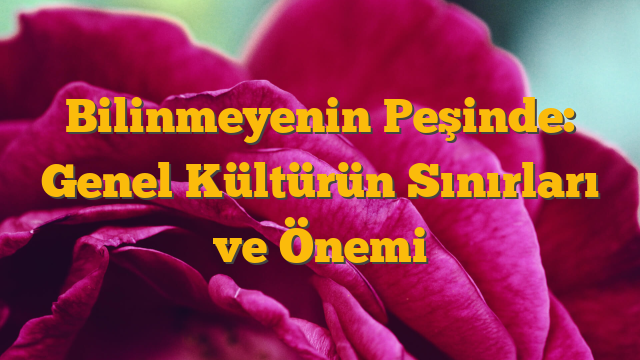 Bilinmeyenin Peşinde: Genel Kültürün Sınırları ve Önemi