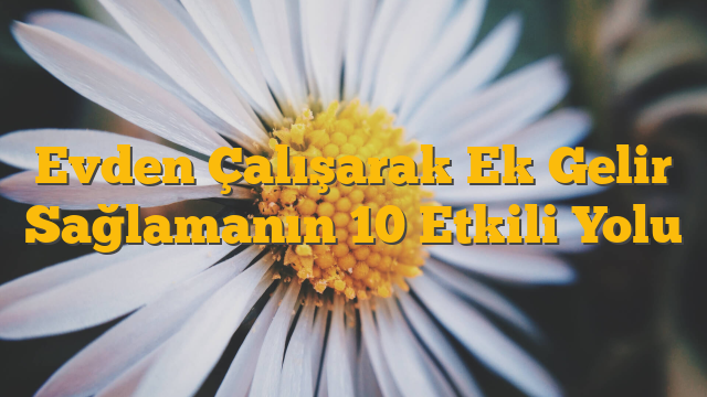 Evden Çalışarak Ek Gelir Sağlamanın 10 Etkili Yolu