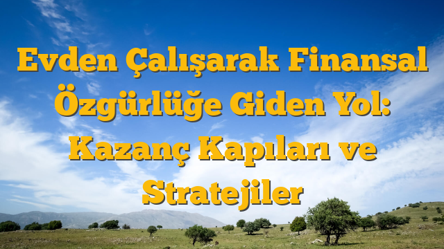 Evden Çalışarak Finansal Özgürlüğe Giden Yol: Kazanç Kapıları ve Stratejiler