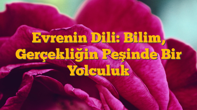 Evrenin Dili: Bilim, Gerçekliğin Peşinde Bir Yolculuk