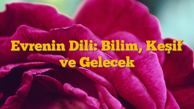 Evrenin Dili: Bilim, Keşif ve Gelecek
