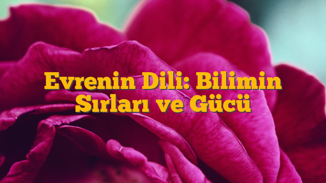 Evrenin Dili: Bilimin Sırları ve Gücü