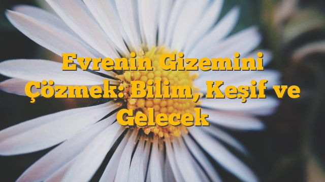 Evrenin Gizemini Çözmek: Bilim, Keşif ve Gelecek