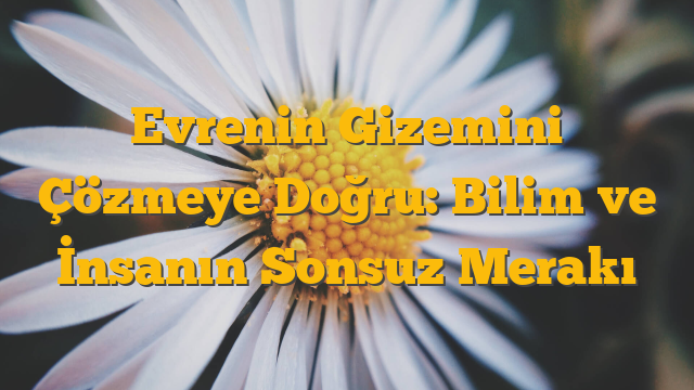 Evrenin Gizemini Çözmeye Doğru: Bilim ve İnsanın Sonsuz Merakı