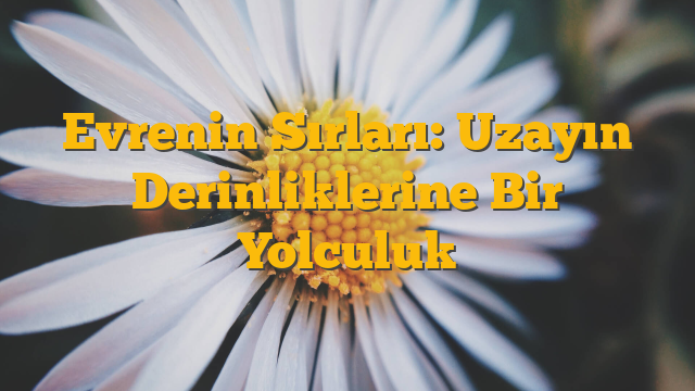 Evrenin Sırları: Uzayın Derinliklerine Bir Yolculuk