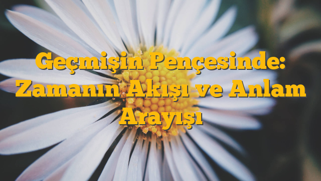 Geçmişin Pençesinde: Zamanın Akışı ve Anlam Arayışı