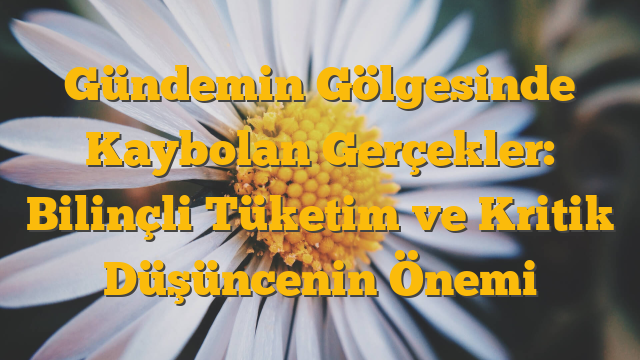 Gündemin Gölgesinde Kaybolan Gerçekler: Bilinçli Tüketim ve Kritik Düşüncenin Önemi