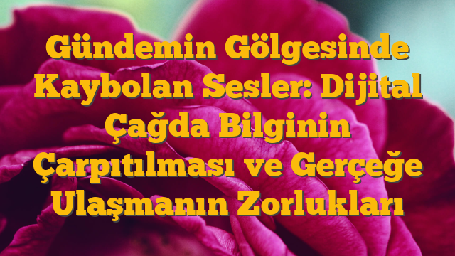 Gündemin Gölgesinde Kaybolan Sesler: Dijital Çağda Bilginin Çarpıtılması ve Gerçeğe Ulaşmanın Zorlukları