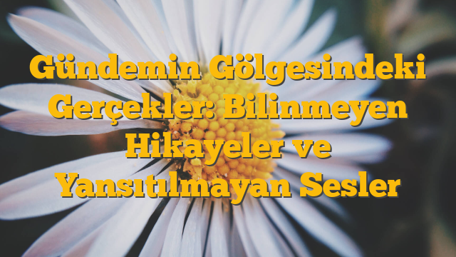 Gündemin Gölgesindeki Gerçekler: Bilinmeyen Hikayeler ve Yansıtılmayan Sesler