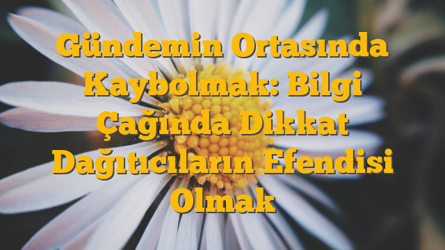 Gündemin Ortasında Kaybolmak: Bilgi Çağında Dikkat Dağıtıcıların Efendisi Olmak