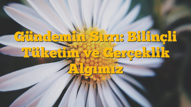 Gündemin Sırrı: Bilinçli Tüketim ve Gerçeklik Algımız