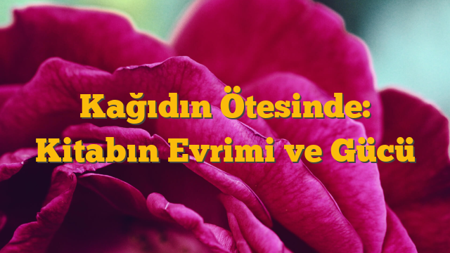 Kağıdın Ötesinde: Kitabın Evrimi ve Gücü