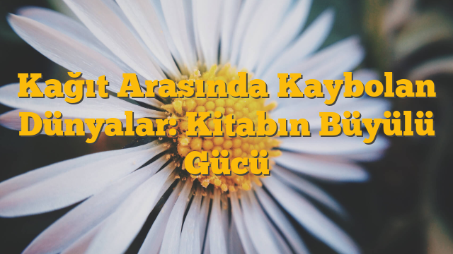 Kağıt Arasında Kaybolan Dünyalar: Kitabın Büyülü Gücü