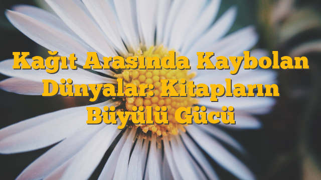 Kağıt Arasında Kaybolan Dünyalar: Kitapların Büyülü Gücü
