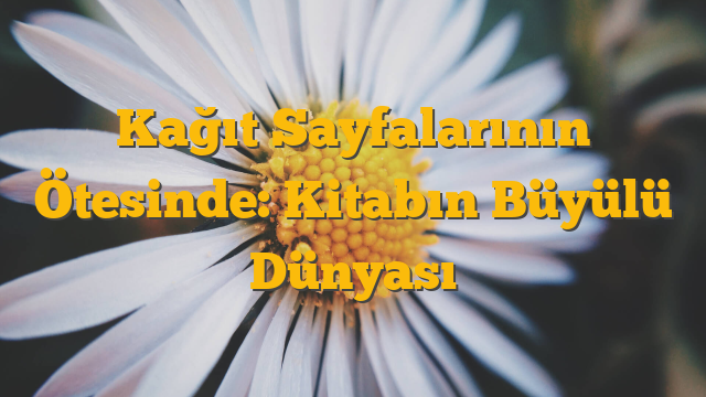 Kağıt Sayfalarının Ötesinde: Kitabın Büyülü Dünyası