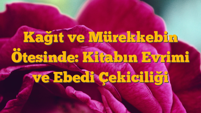 Kağıt ve Mürekkebin Ötesinde: Kitabın Evrimi ve Ebedi Çekiciliği