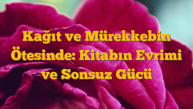 Kağıt ve Mürekkebin Ötesinde: Kitabın Evrimi ve Sonsuz Gücü