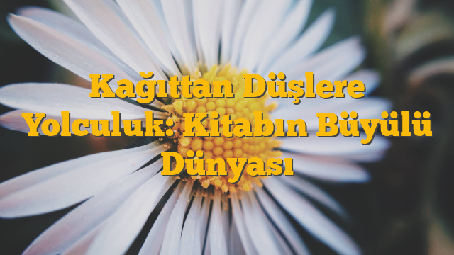 Kağıttan Düşlere Yolculuk: Kitabın Büyülü Dünyası
