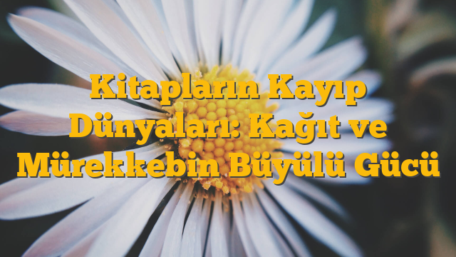 Kitapların Kayıp Dünyaları: Kağıt ve Mürekkebin Büyülü Gücü