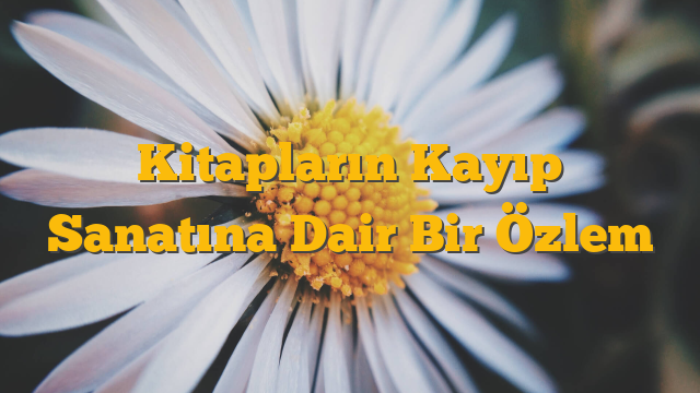 Kitapların Kayıp Sanatına Dair Bir Özlem