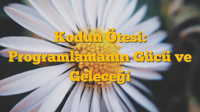 Kodun Ötesi: Programlamanın Gücü ve Geleceği