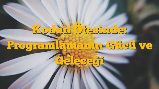 Kodun Ötesinde: Programlamanın Gücü ve Geleceği