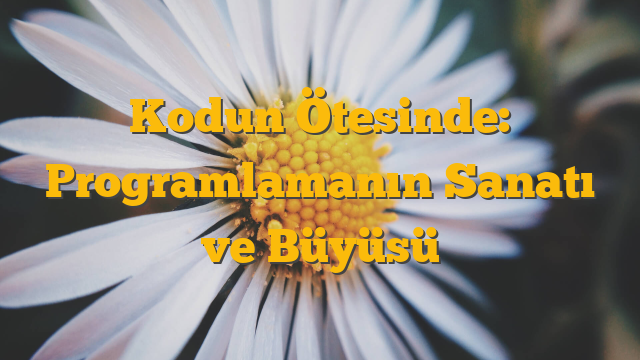 Kodun Ötesinde: Programlamanın Sanatı ve Büyüsü