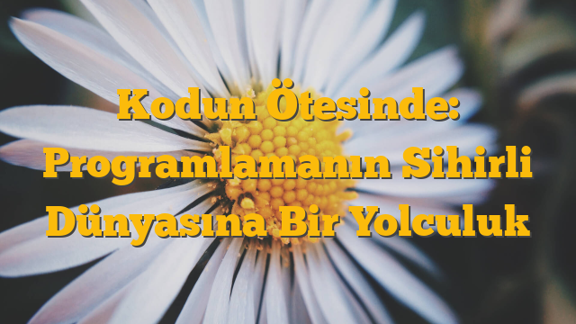 Kodun Ötesinde: Programlamanın Sihirli Dünyasına Bir Yolculuk