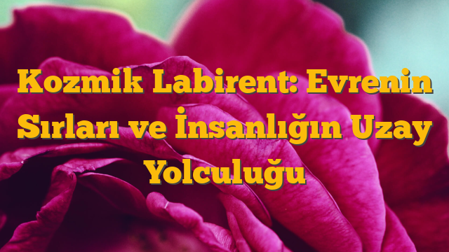 Kozmik Labirent: Evrenin Sırları ve İnsanlığın Uzay Yolculuğu