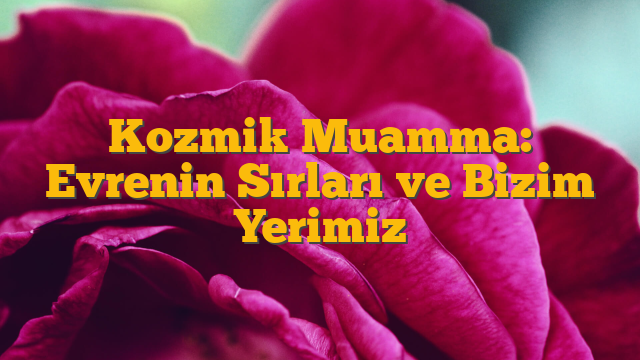 Kozmik Muamma: Evrenin Sırları ve Bizim Yerimiz