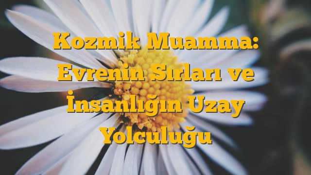 Kozmik Muamma: Evrenin Sırları ve İnsanlığın Uzay Yolculuğu