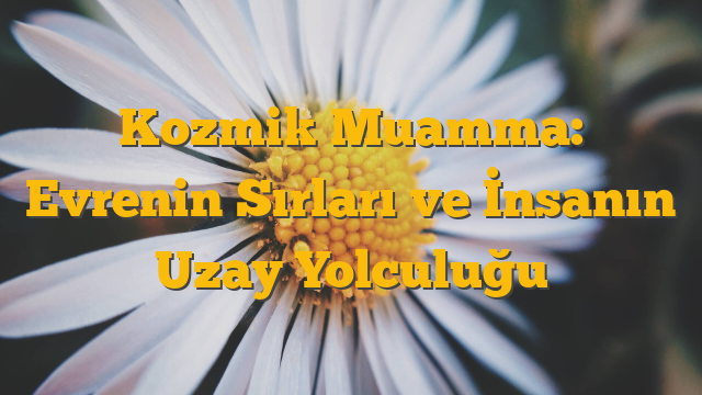 Kozmik Muamma: Evrenin Sırları ve İnsanın Uzay Yolculuğu