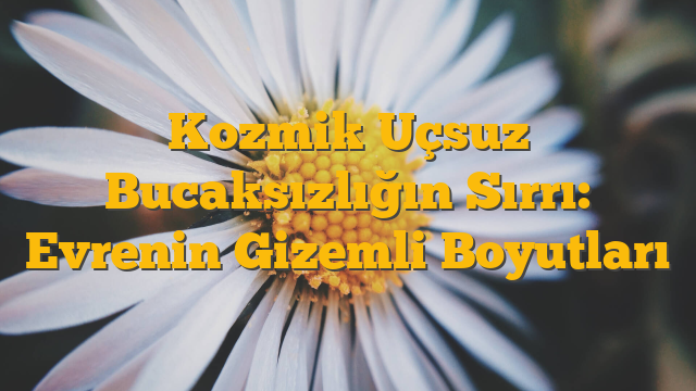Kozmik Uçsuz Bucaksızlığın Sırrı: Evrenin Gizemli Boyutları