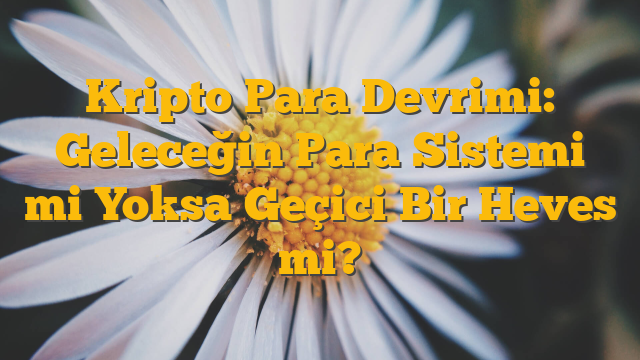 Kripto Para Devrimi: Geleceğin Para Sistemi mi Yoksa Geçici Bir Heves mi?