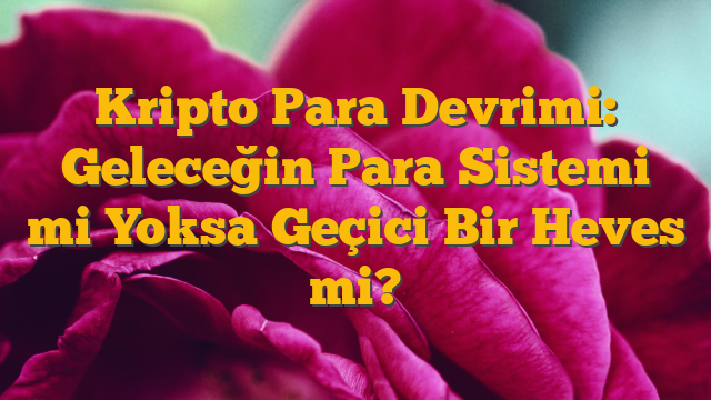 Kripto Para Devrimi: Geleceğin Para Sistemi mi Yoksa Geçici Bir Heves mi?