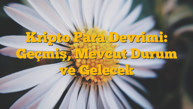 Kripto Para Devrimi: Geçmiş, Mevcut Durum ve Gelecek