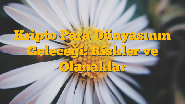 Kripto Para Dünyasının Geleceği: Riskler ve Olanaklar
