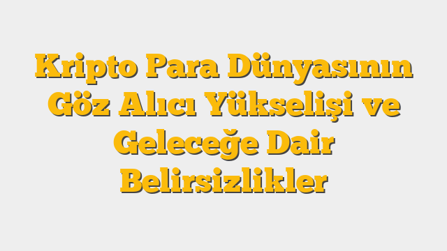 Kripto Para Dünyasının Göz Alıcı Yükselişi ve Geleceğe Dair Belirsizlikler