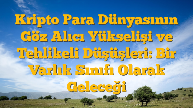 Kripto Para Dünyasının Göz Alıcı Yükselişi ve Tehlikeli Düşüşleri: Bir Varlık Sınıfı Olarak Geleceği