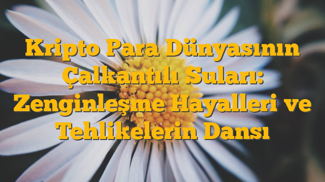 Kripto Para Dünyasının Çalkantılı Suları: Zenginleşme Hayalleri ve Tehlikelerin Dansı
